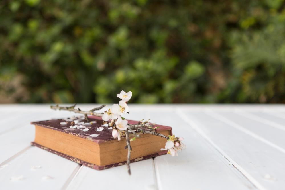 Private School Options Madison Heights, MI