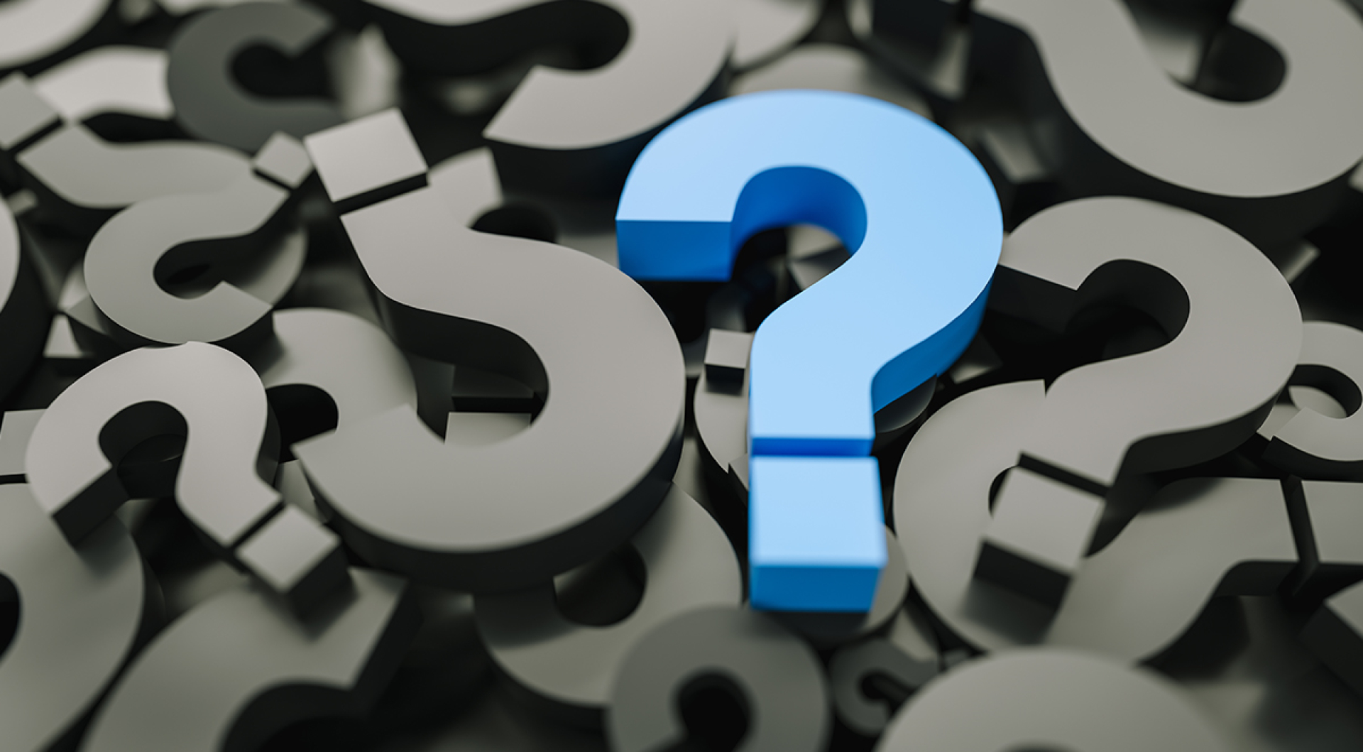 Best Questions To Ask A Private Elementary School